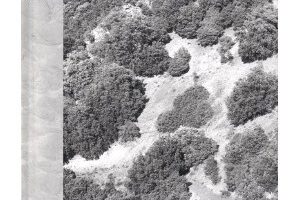 taiji-matsue-gazetteer | Taiji Matsue, gazetteer