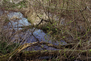 Masashi Otomo | 04
大友真志「mid field」 北海道北広島の周辺
タイプCプリント/2007/ed.7
image size：387×531mm
print size：508×610mm