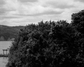 Naoki Ohji／王子 直紀  “Sotobo／外房”