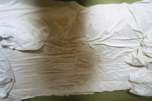 Sakiko Nomura／野村 佐紀子  “野村 佐紀子 展 3”