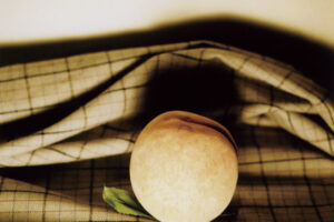 Mariko Takahashi／高橋 万里子: “Lonely Sweet／Night Birds”