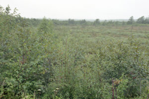01 大友真志　「サハリン島」 pigment print / ed. 5  image size：349×470mm  paper size：558×710mm