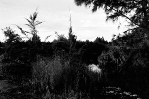 Masashi Otomo／大友 真志  “Grace Islands &mdash;南大東島、北大東島” | 01 大友真志「GRACE ISLANDS──南大東島、北大東島」 ゼラチンシルバープリント / ed. 8  paper size：279×356mm