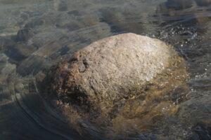 Takuro Yoneda／米田 拓朗: “Fuefuki River／笛吹川”