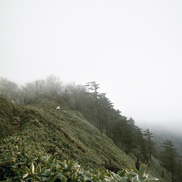 Keiko Sasaoka／笹岡 啓子: “True View of Kuma-yama／久万山真景”