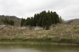 Keiko Sasaoka／笹岡 啓子: “Difference 3.11”