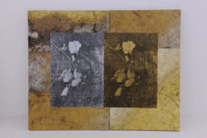 Kota Kishi／岸 幸太: “Barracks”