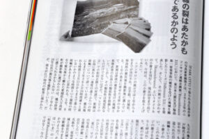 Keiko Sasaoka | 画面に走る横一線の裂はあたかも被災地の分断線であるかのよう