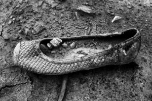 Kota Kishi: “Things in there”  岸 幸太: “Things in there”