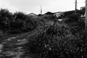 Masashi Otomo | 01
大友真志　「Northern Lithts」
ゼラチンシルバープリント/ed.12
paper size：279×356mm