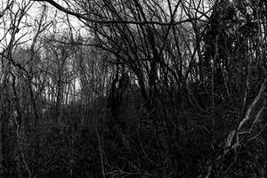 Ryu Tomonori | 01
笠友紀「ON THE ROAD-J. ケルアックに捧げる写真展」　　
61.5×61.5cm/RCペーパー