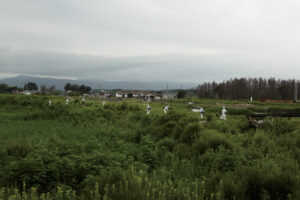 keiko-sasaoka-remembrance38