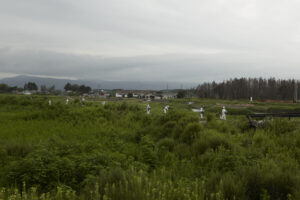 ssok-201312-01 | 福島県双葉郡浪江町　2013年8月2日