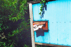 AS20131128001319_comm