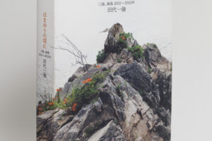 hamayuri_web_cover