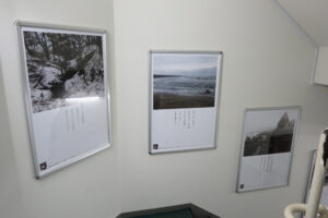 keizo-kitajima-tanesashi