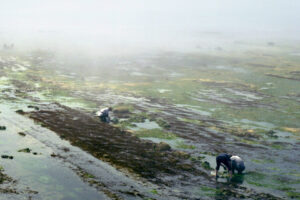 keiko-sasaoka-asahibe01