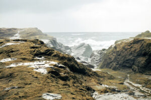 keiko-sasaoka-20140215