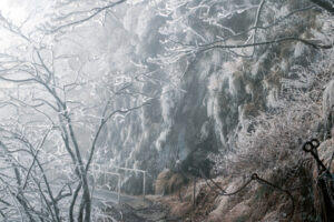 keiko-sasaoka-asahibe03