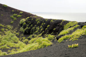 AS20140320001413_comm