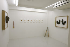 Kota Kishi | 石膏を使用し、野球のグローブやスパイク、ボールを扱った作品。