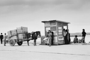 002 | 川口 和之 “沖縄幻視行” 002 | 川口 和之 “沖縄幻視行”