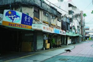 ©MATSUOKA MIKI ©MATSUOKA MIKI