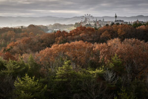 0059web | 「PROSPECTS」