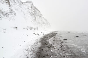 masashi-otomo masashi-otomo