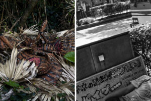 ohji_tokara_1-768×1151のコピー