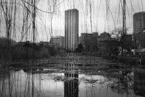 OLYMPUS DIGITAL CAMERA OLYMPUS DIGITAL CAMERA