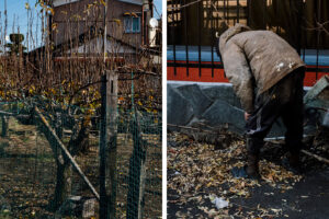 kawasaki4-001-800×1200