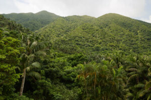 keiko-sasaoka keiko-sasaoka