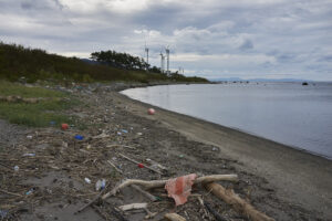 shiosai-web shiosai-web