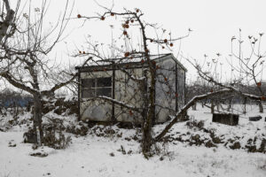 keizo-kitajima | 長野県 須坂市 2018年1月9日
