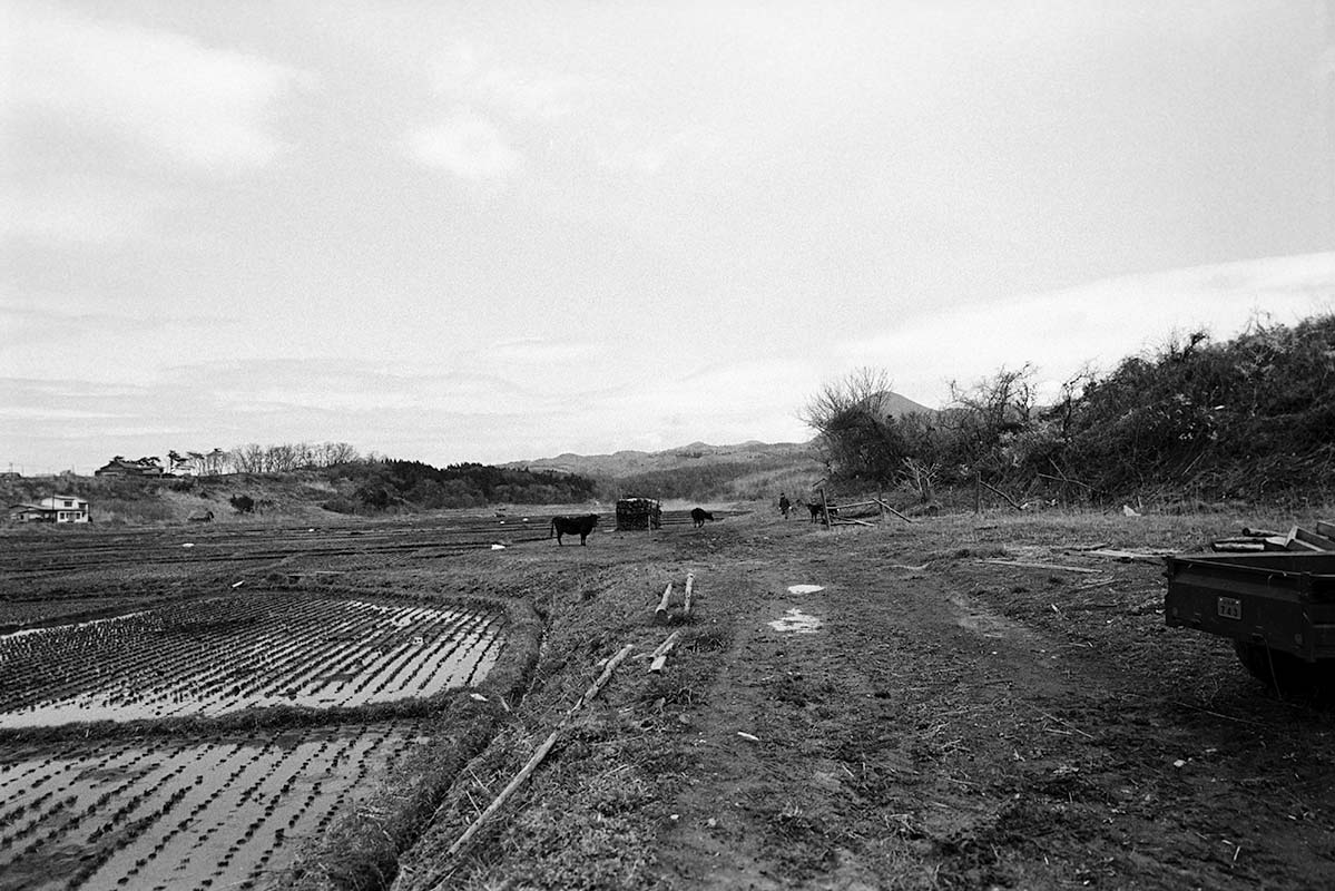 p42_040_今別町鍋田_1975