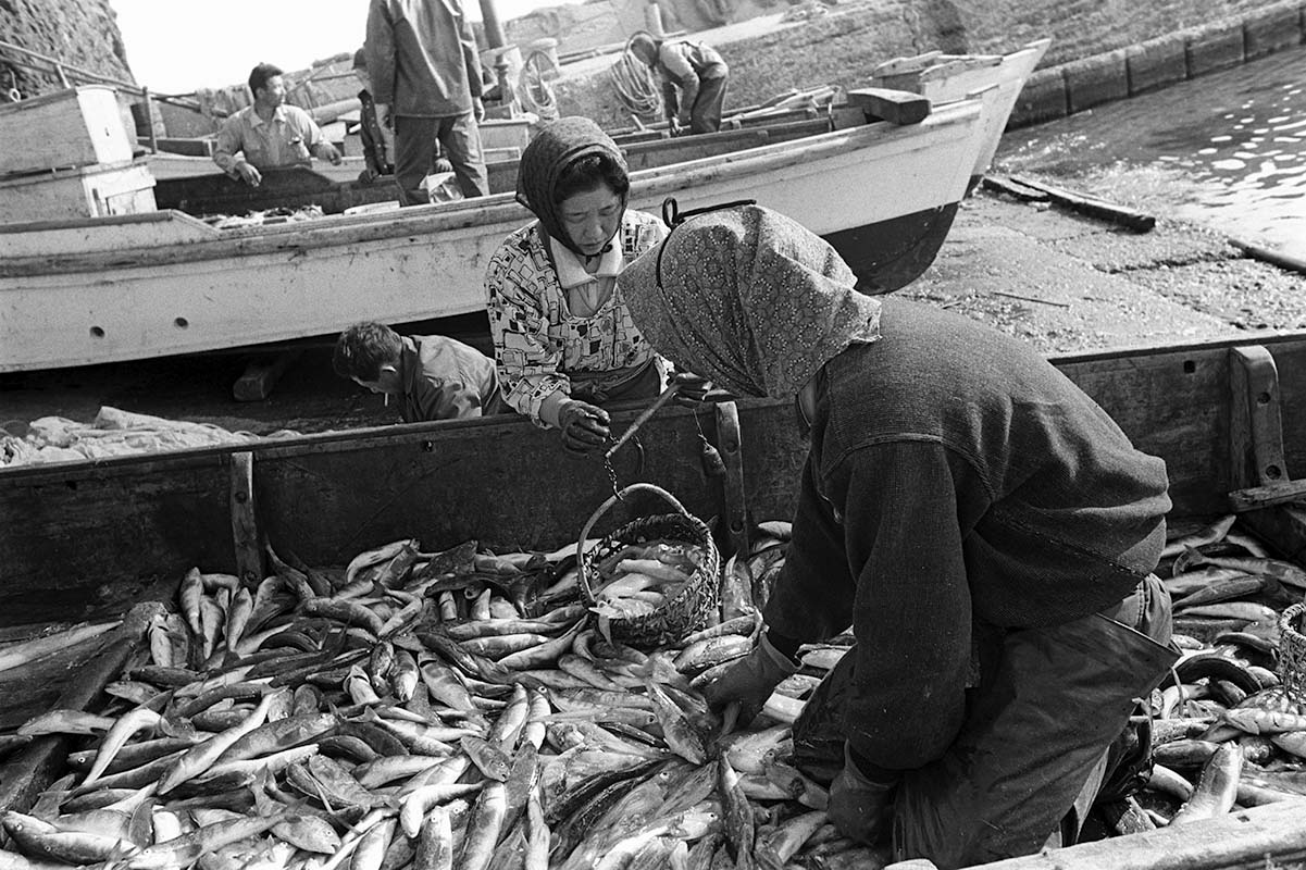 p64_062_三厩村_1975