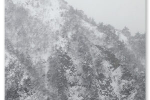 presence_cover251202-2