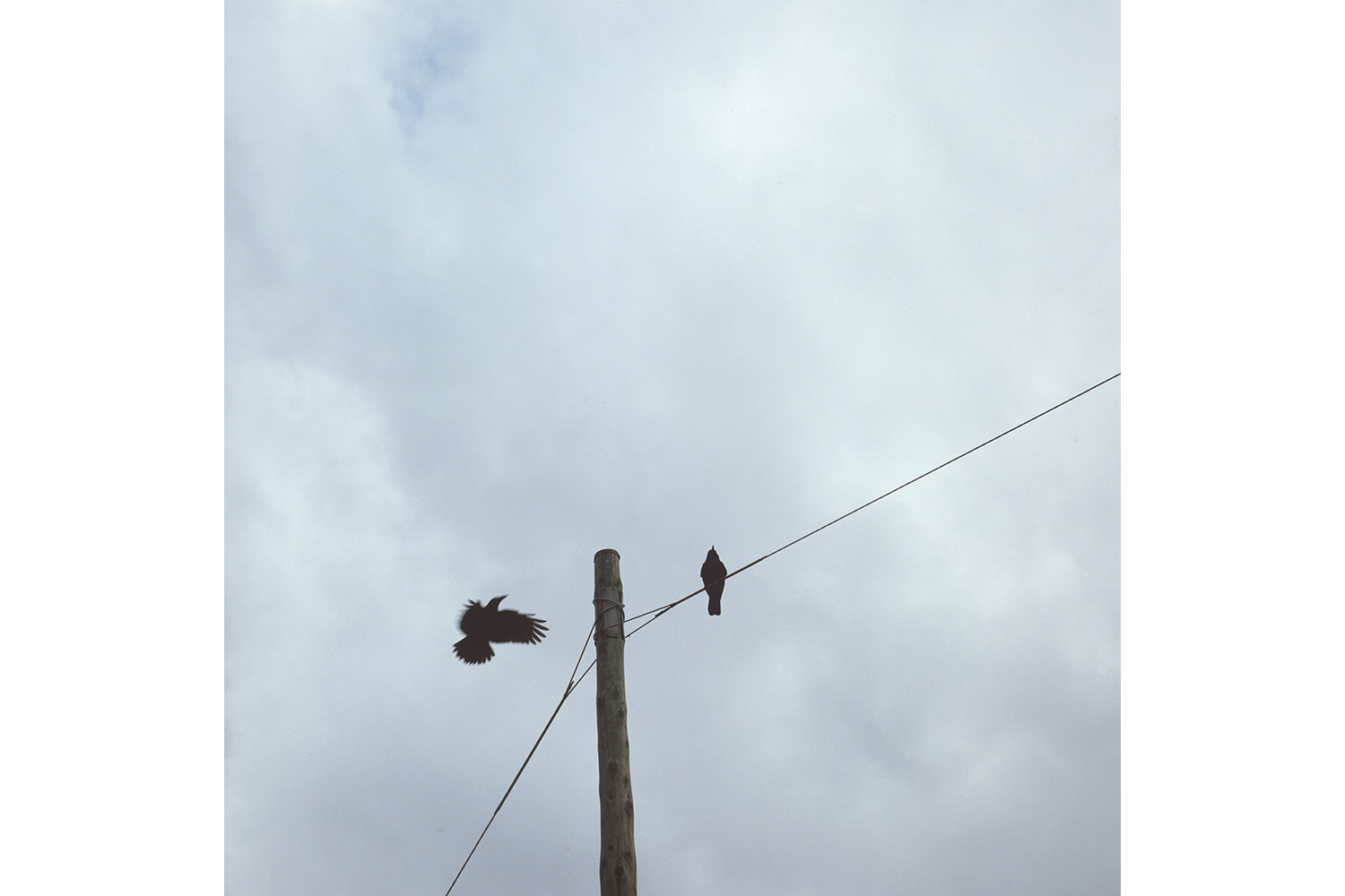 3_西表島白浜1980