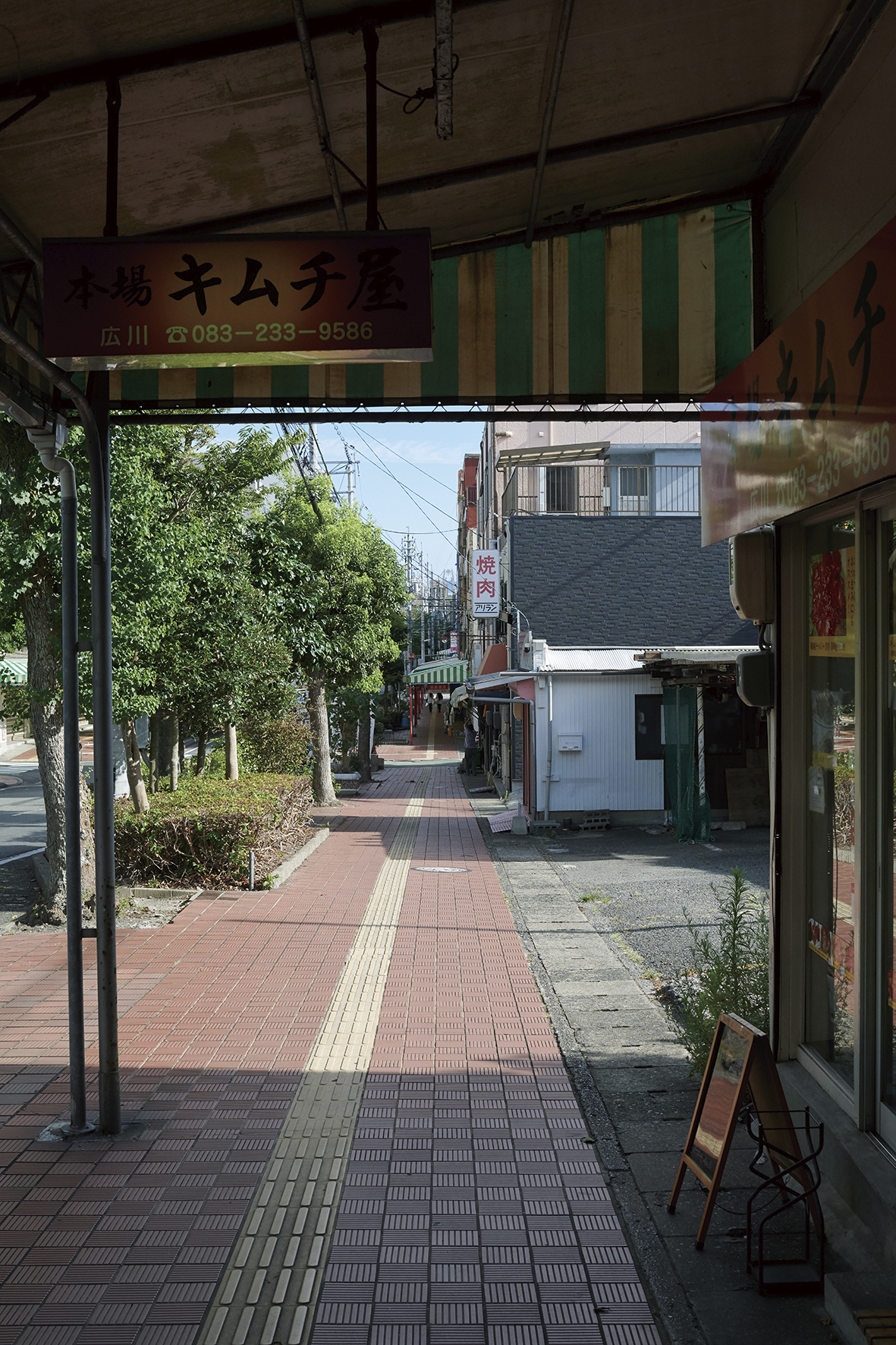 kishi01