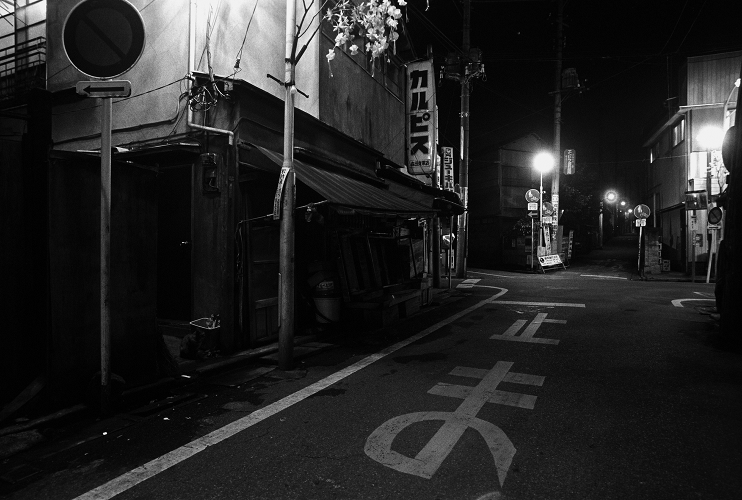 tokyomidnight04